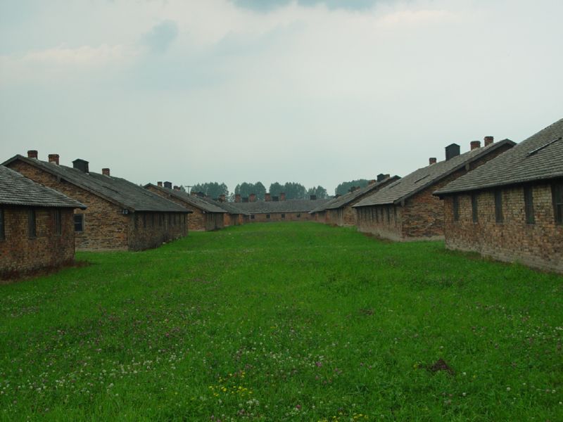 Birkenau row of barracks